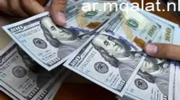 استقرار محدود.. سعر الدولار مقابل الجنيه في تعاملات السبت 3 يناير 2026